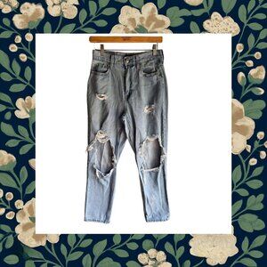 Aeropostale Slim & Thick Curvy Mom Jean Size 2